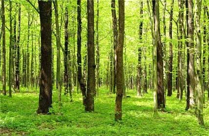 凯发·k8(国际) - 一触即发·官方网站