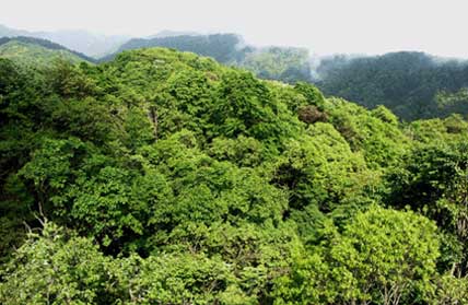 凯发·k8(国际) - 一触即发·官方网站