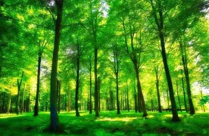 凯发·k8(国际) - 一触即发·官方网站