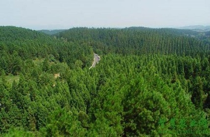 凯发·k8(国际) - 一触即发·官方网站