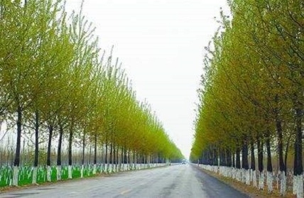 凯发·k8(国际) - 一触即发·官方网站