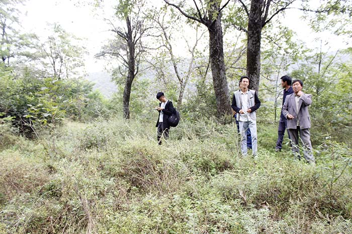 凯发·k8(国际) - 一触即发·官方网站