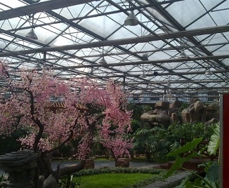 凯发·k8(国际) - 一触即发·官方网站