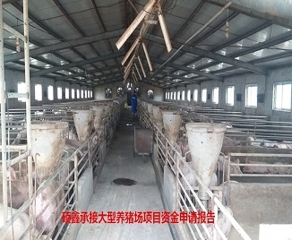 凯发k8咨询完成大型养殖（养猪）场项目资金申请报告