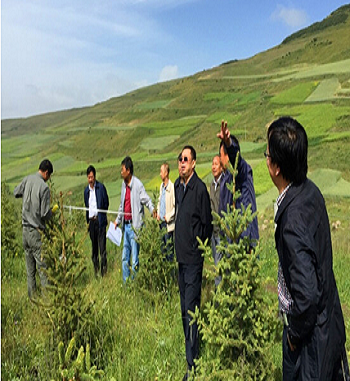 凯发·k8(国际) - 一触即发·官方网站