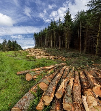 凯发·k8(国际) - 一触即发·官方网站