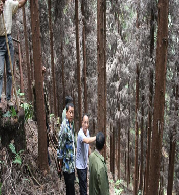 凯发·k8(国际) - 一触即发·官方网站