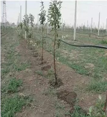 凯发·k8(国际) - 一触即发·官方网站