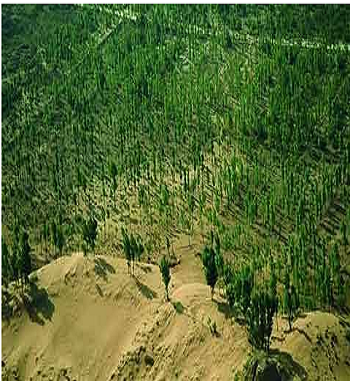 凯发·k8(国际) - 一触即发·官方网站