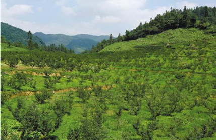 凯发·k8(国际) - 一触即发·官方网站