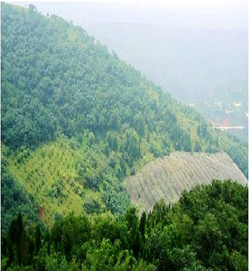 凯发·k8(国际) - 一触即发·官方网站