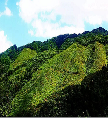 凯发·k8(国际) - 一触即发·官方网站