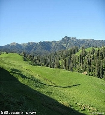 凯发·k8(国际) - 一触即发·官方网站