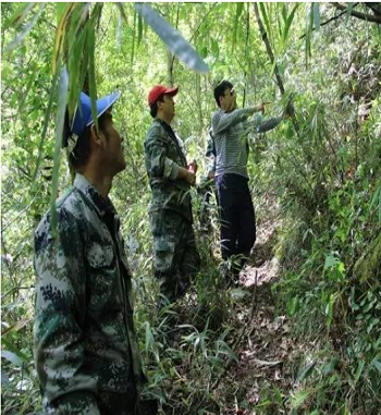 凯发·k8(国际) - 一触即发·官方网站