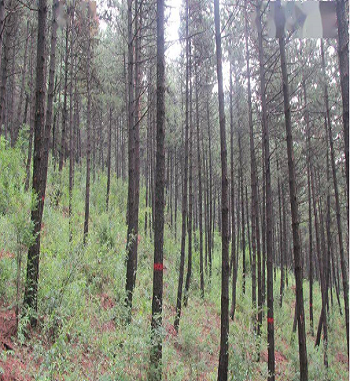 凯发·k8(国际) - 一触即发·官方网站