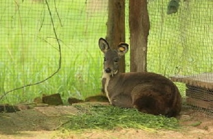 凯发·k8(国际) - 一触即发·官方网站