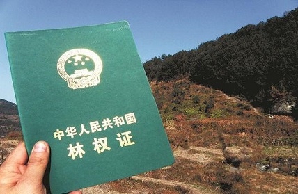 凯发·k8(国际) - 一触即发·官方网站