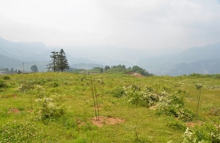 凯发·k8(国际) - 一触即发·官方网站