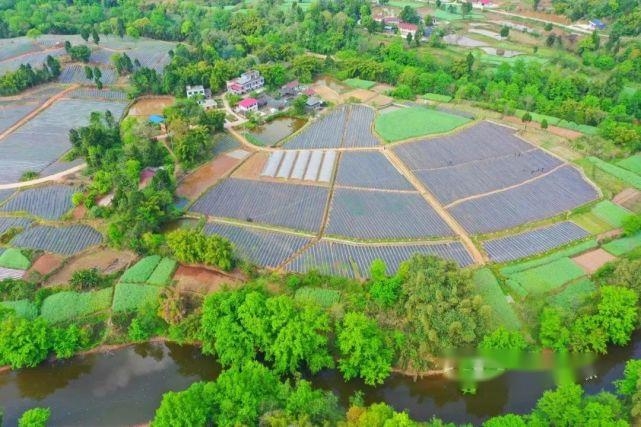 凯发·k8(国际) - 一触即发·官方网站