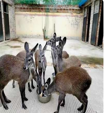 凯发·k8(国际) - 一触即发·官方网站