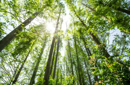 凯发·k8(国际) - 一触即发·官方网站