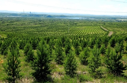 凯发·k8(国际) - 一触即发·官方网站