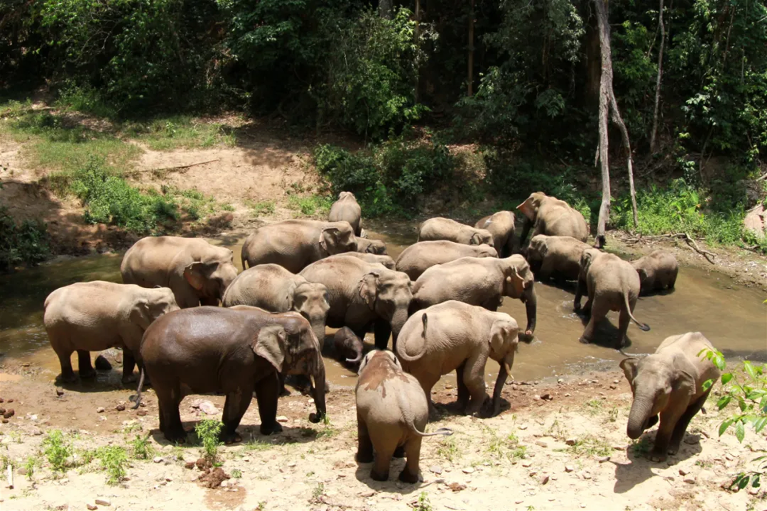 凯发·k8(国际) - 一触即发·官方网站