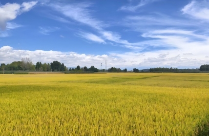 凯发·k8(国际) - 一触即发·官方网站