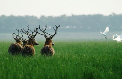 凯发·k8(国际) - 一触即发·官方网站